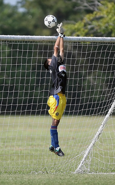 展的双重轨 展的双重轨