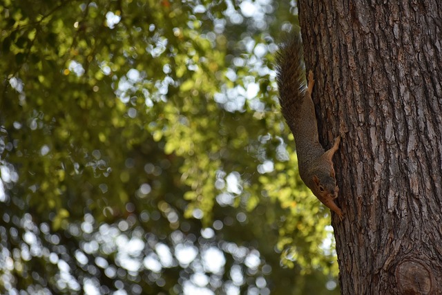 业背后巨大 业背后巨大