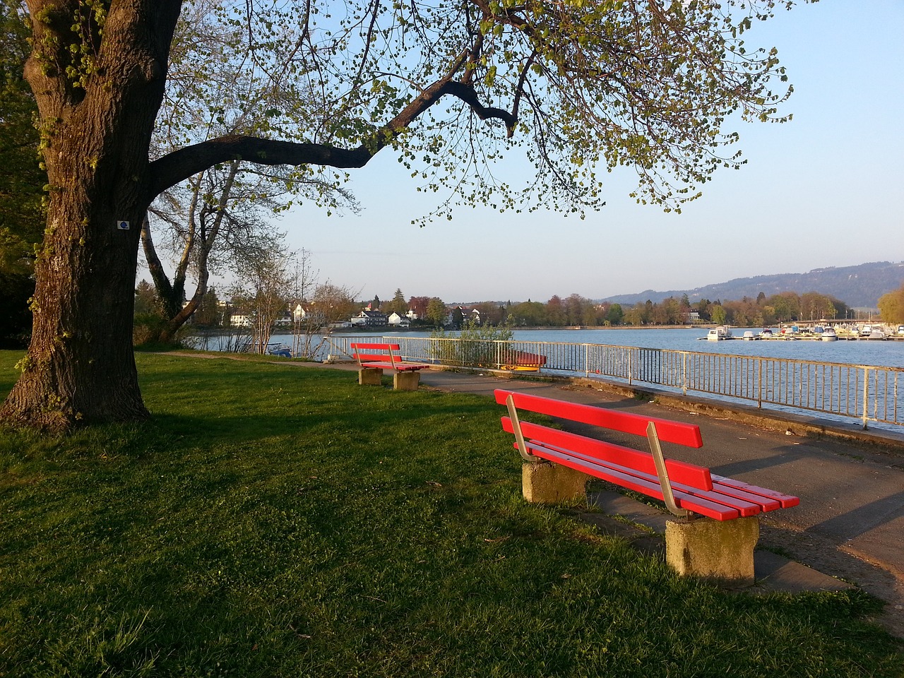 分析这场比 分析这场比